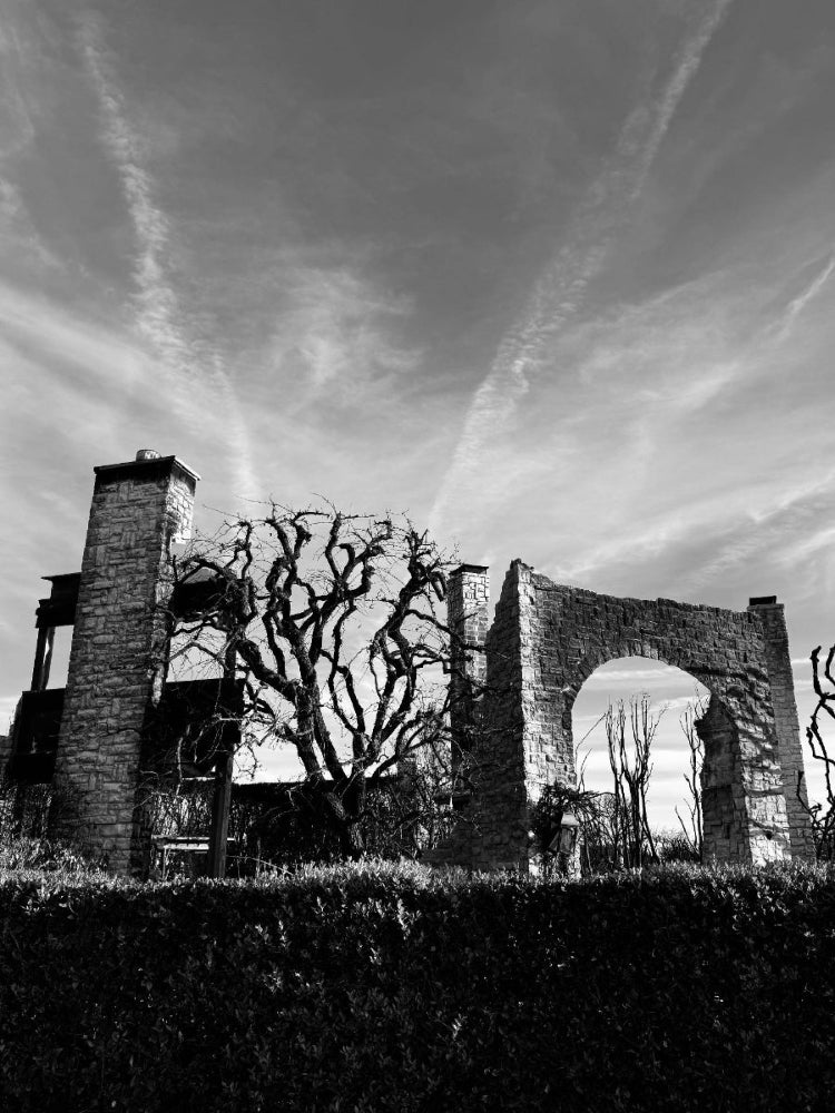 Black and white ruins of a building with trees and sky in the background