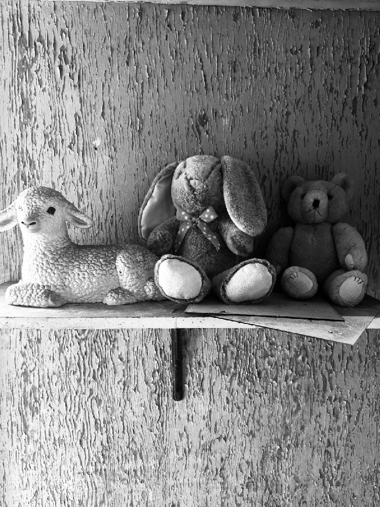 Three stuffed animals on a shelf against a textured wall.