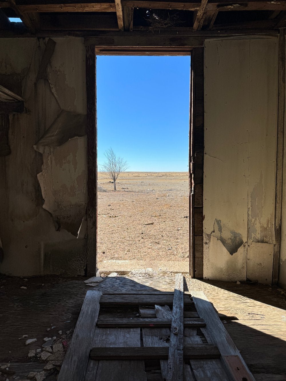 Arbol Solitario - Gunderson Schulman Photography