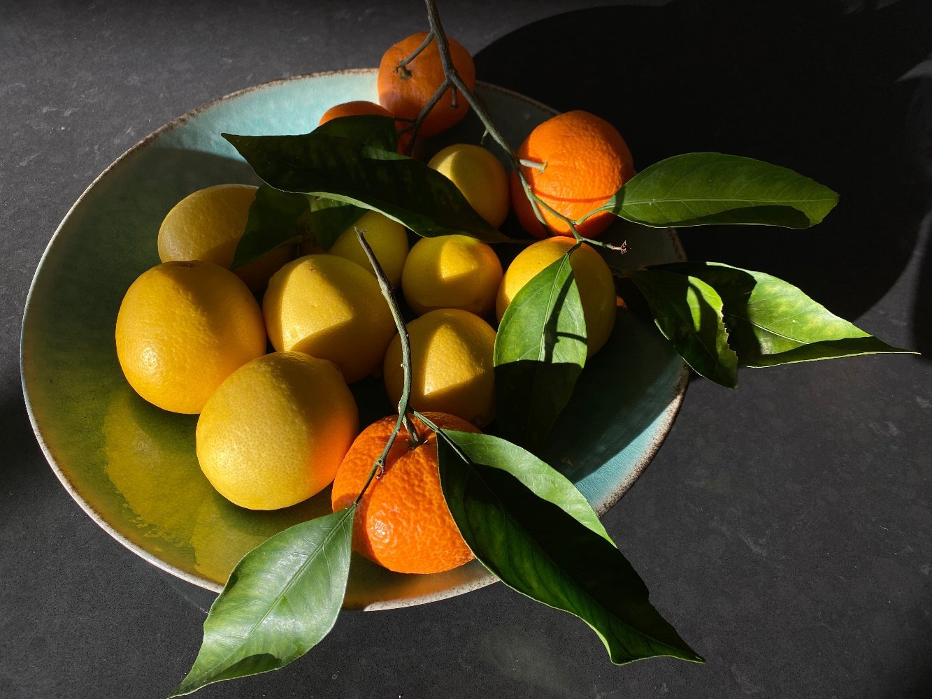 Citrus and Shadow - Gunderson Schulman Photography