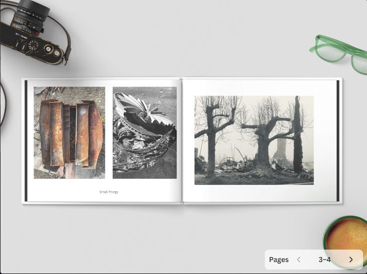 “Fire and Fog - The Aftermath of the 2025 Pacific Palisades Fires” : A Photobook - Gunderson Schulman Photography