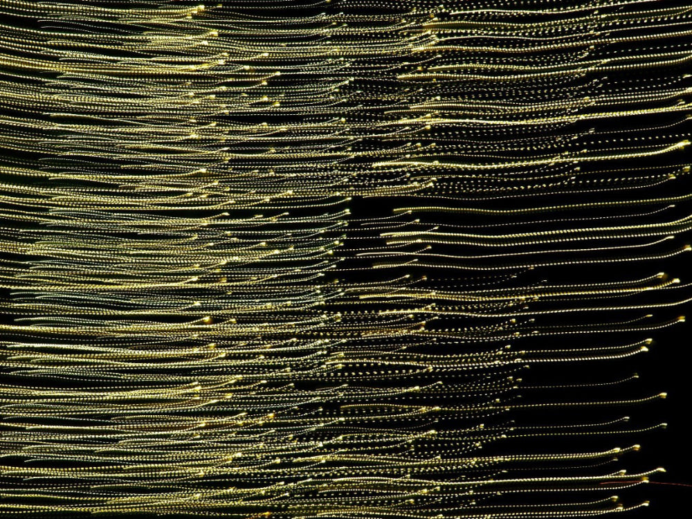 Fine art ICM abstract photography print resembling fireflies in motion, Los Angeles, California — by Miriam Schulman