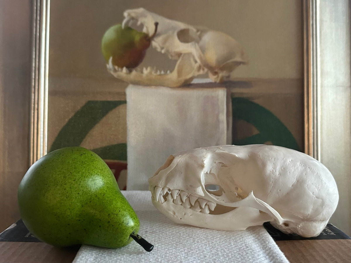 Two animal skulls with a green pear on a reflective surface