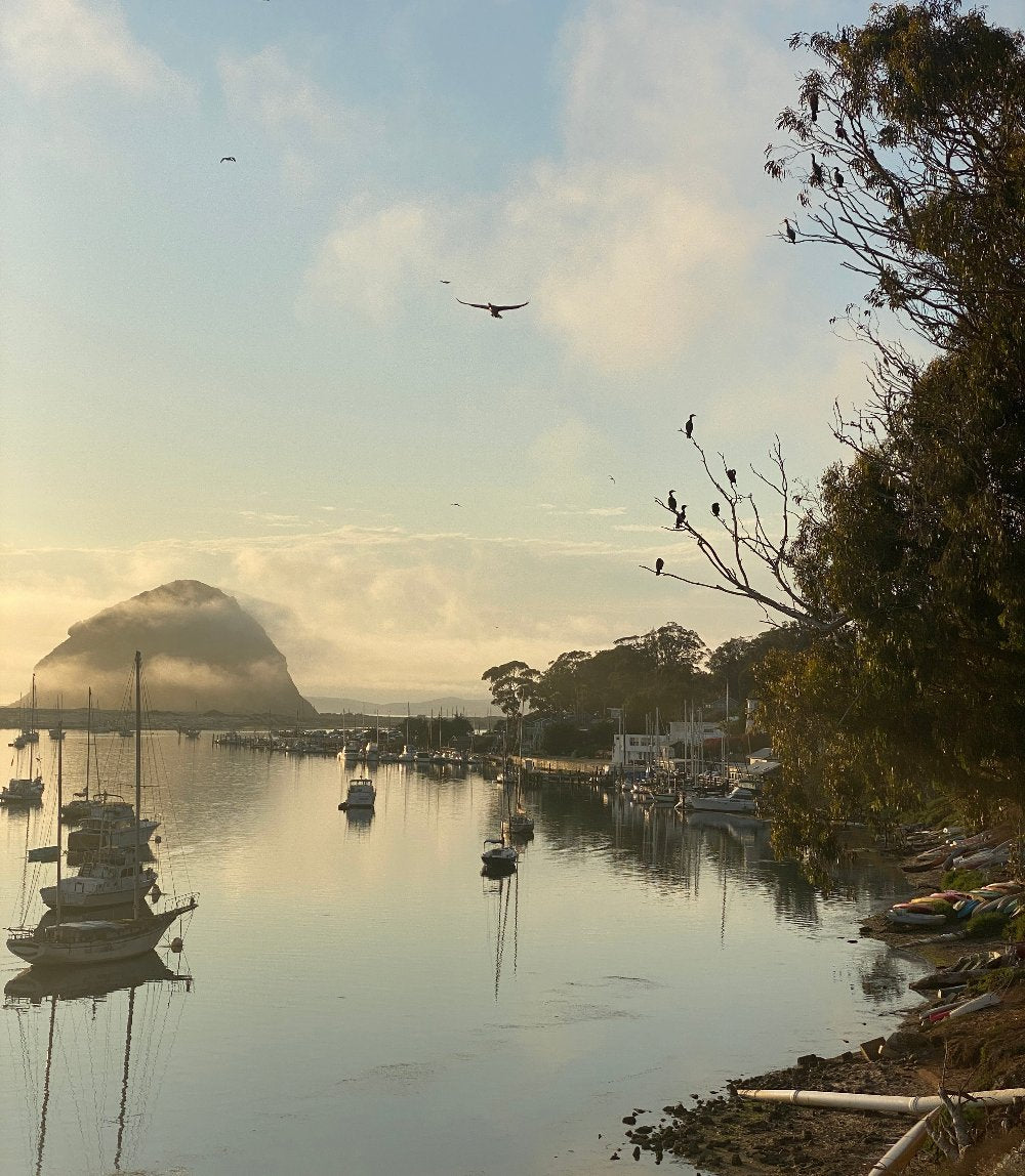 Morro Bay - Gunderson Schulman Photography