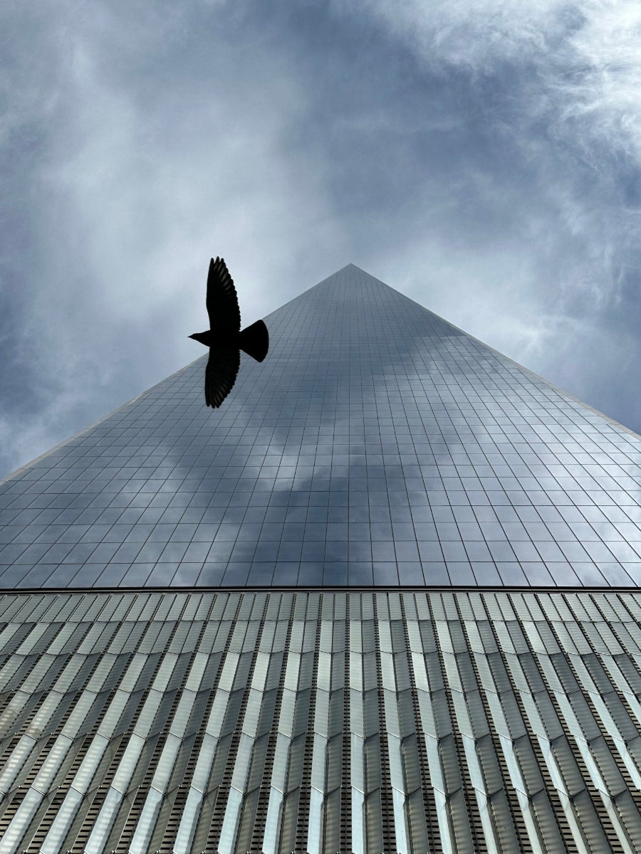 Bird flying in front of the world trade center with a cloudy sky