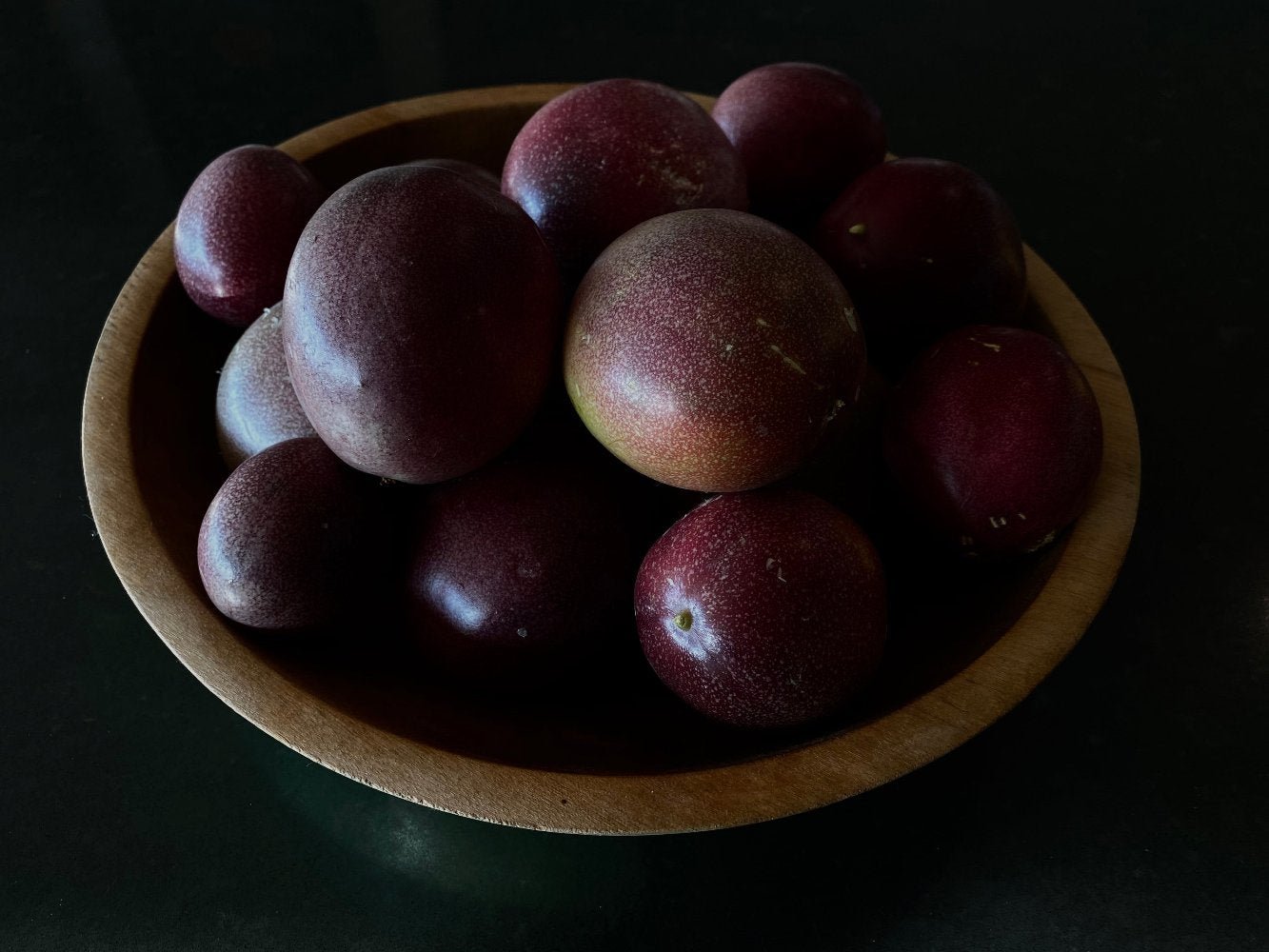 Purple Passion - Gunderson Schulman Photography