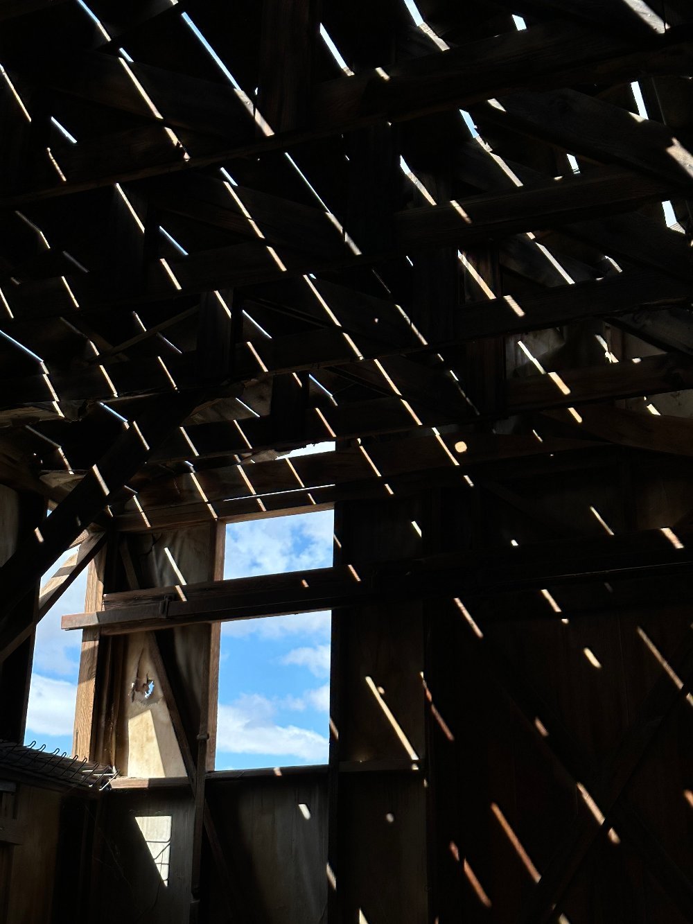 Rays of Light - Gunderson Schulman Photography