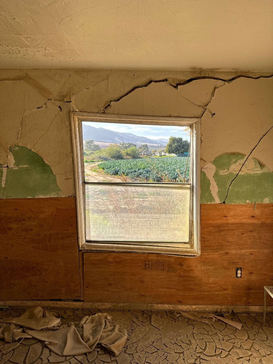 Photograph of a window frame in an abandoned house with a view of a green landscape outside