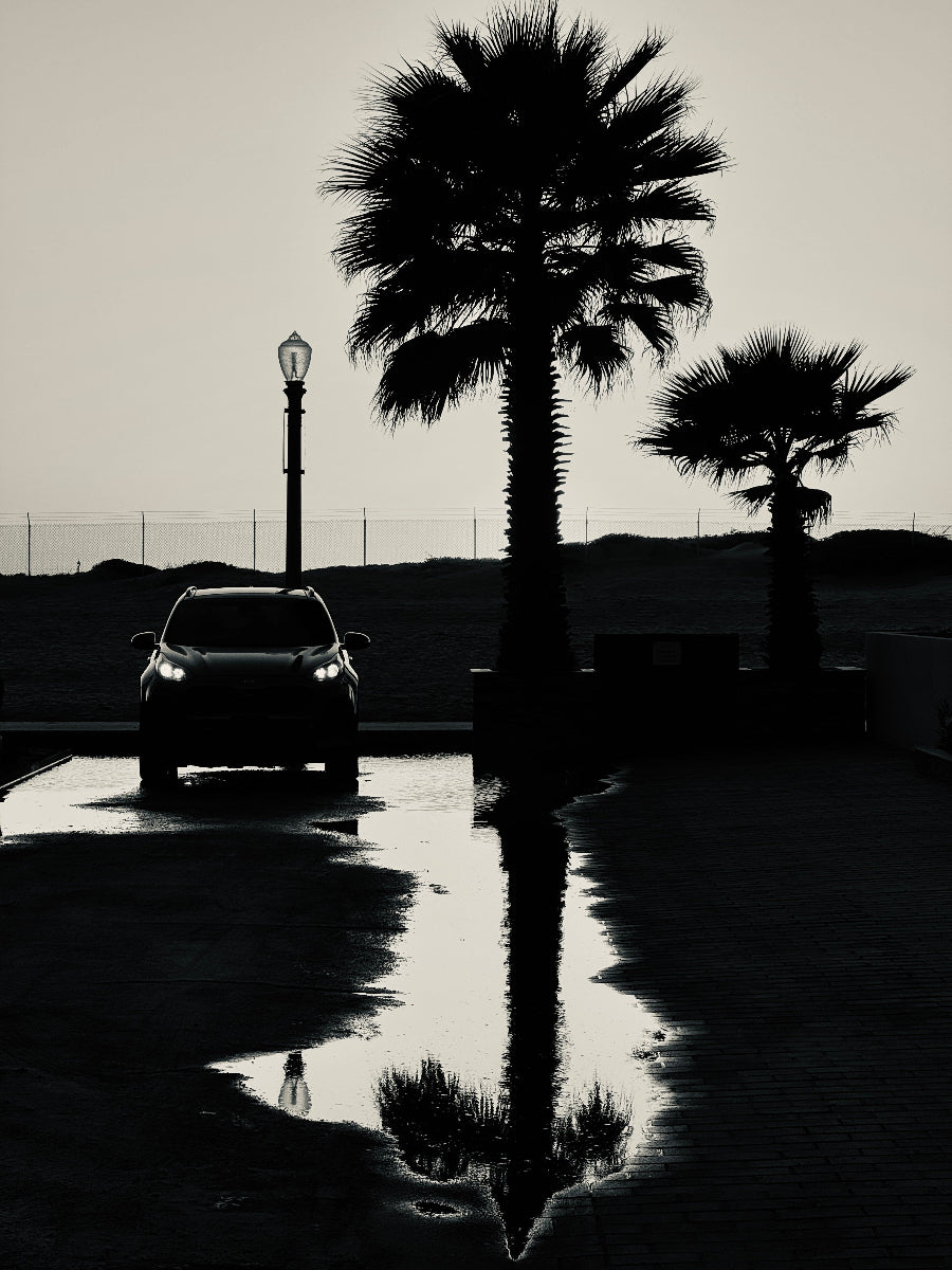 Black and White - Gunderson Schulman Photography