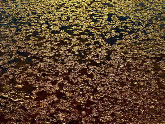 Fine art photography print of salt water crystals on the surface of Lake Manly, Badwater Basin, Death Valley, California — by Miriam Schulman