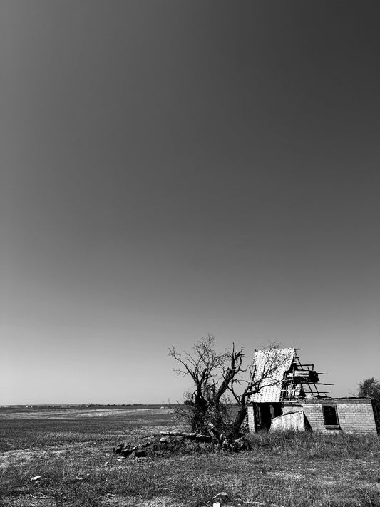 Abandoned house and tree in a desolate landscape under a clear sky