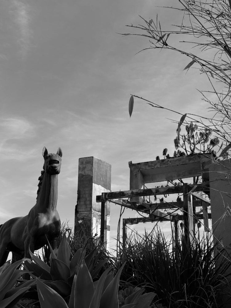 Black and white photo of a horse statue with a rustic building and plants in the background