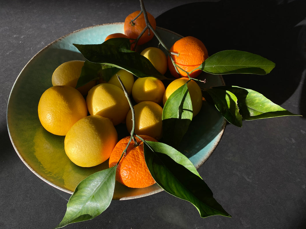Citrus and Shadow