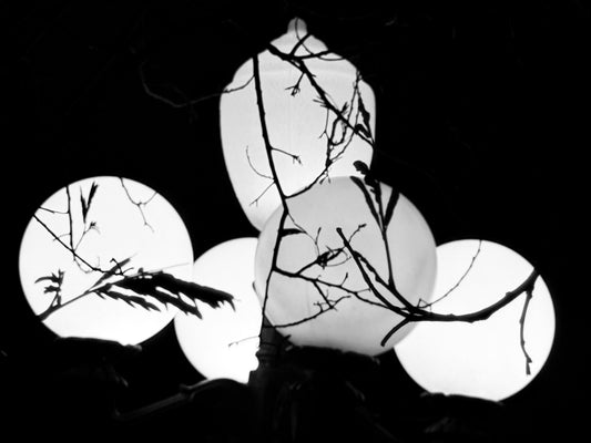 Branches and Orbs