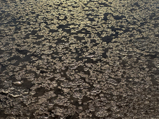 salt lace on the surface of lake manly in death valley