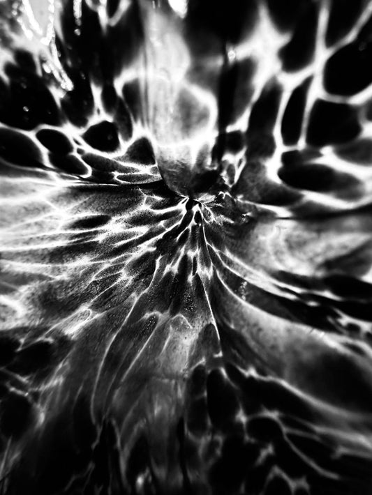 Fine art abstract floral photography print, Harmony, California — by Miriam Schulman