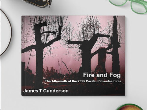 “Fire and Fog - The Aftermath of the 2025 Pacific Palisades Fires” : A Photobook - Gunderson Schulman Photography
