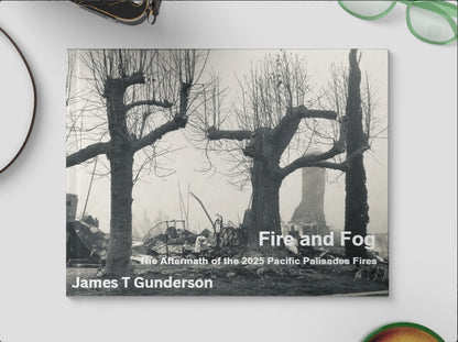 Book titled 'Fire and Fog' by James T. Gunderson on a white surface with decorative elements.