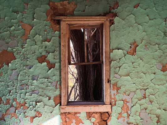 Overgrown, Encino, NM - Gunderson Schulman Photography