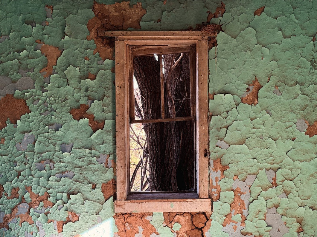 Overgrown, Encino, NM - Gunderson Schulman Photography