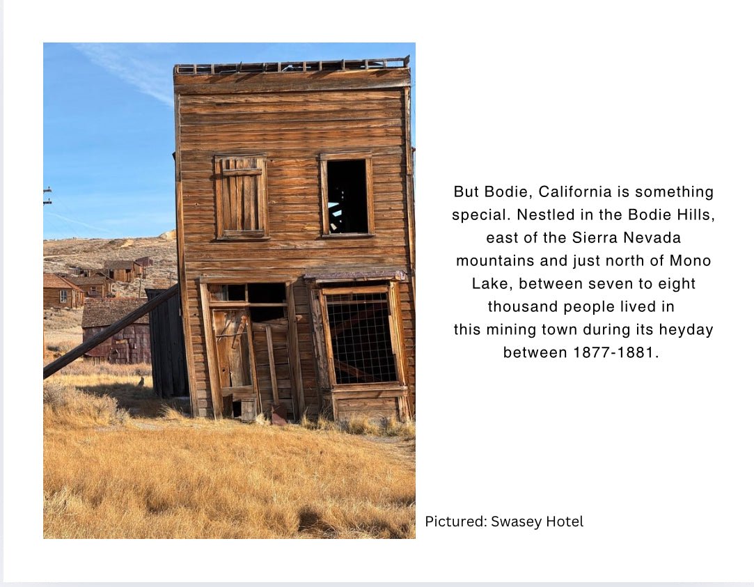 “State of Arrested Decay” : A Photobook - Gunderson Schulman Photography