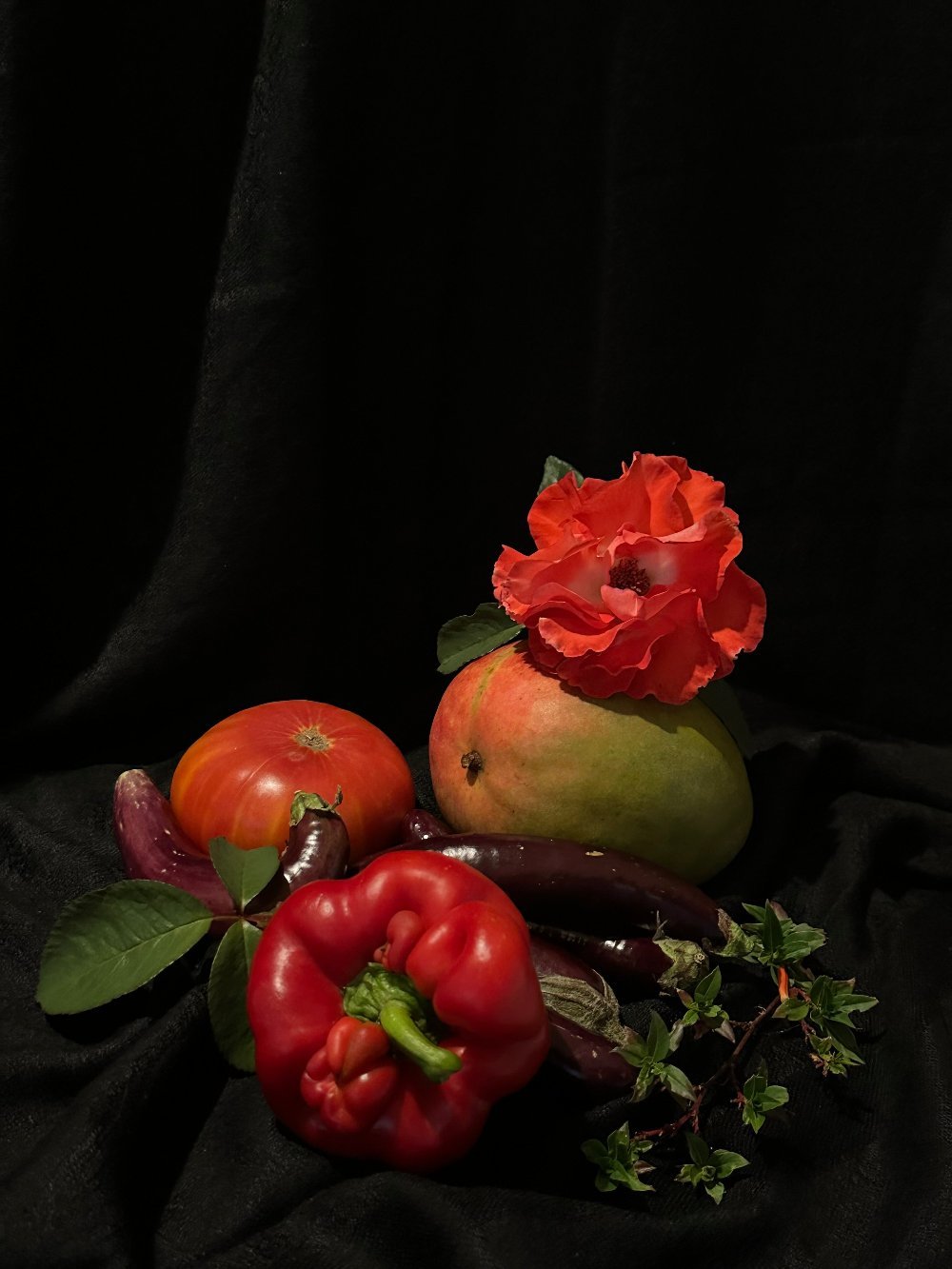 Still Life in Black and Red - Gunderson Schulman Photography