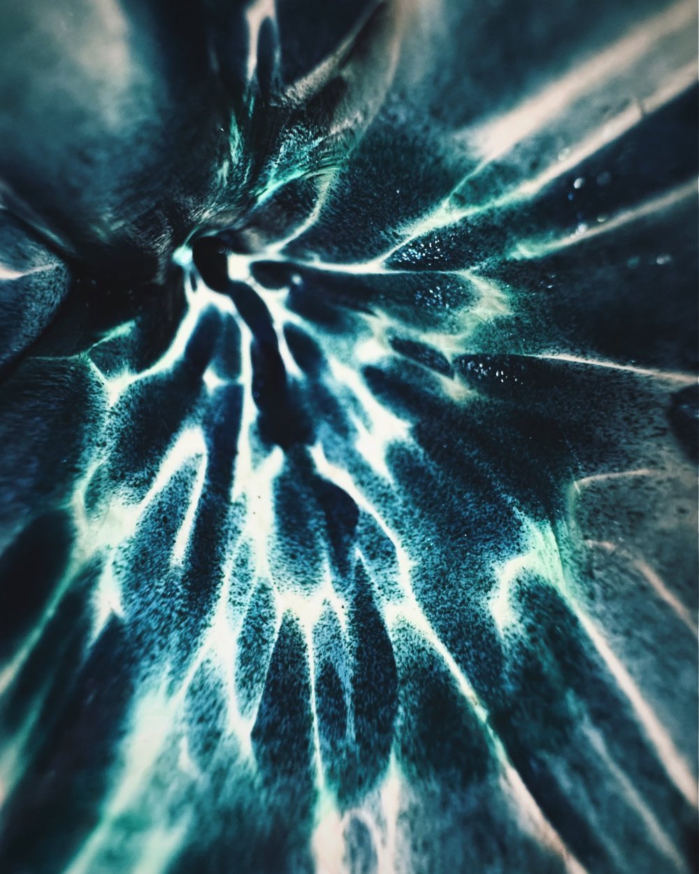 Fine art abstract photography print of an otherworldly cosmic explosion, Harmony, California — by Miriam Schulman
