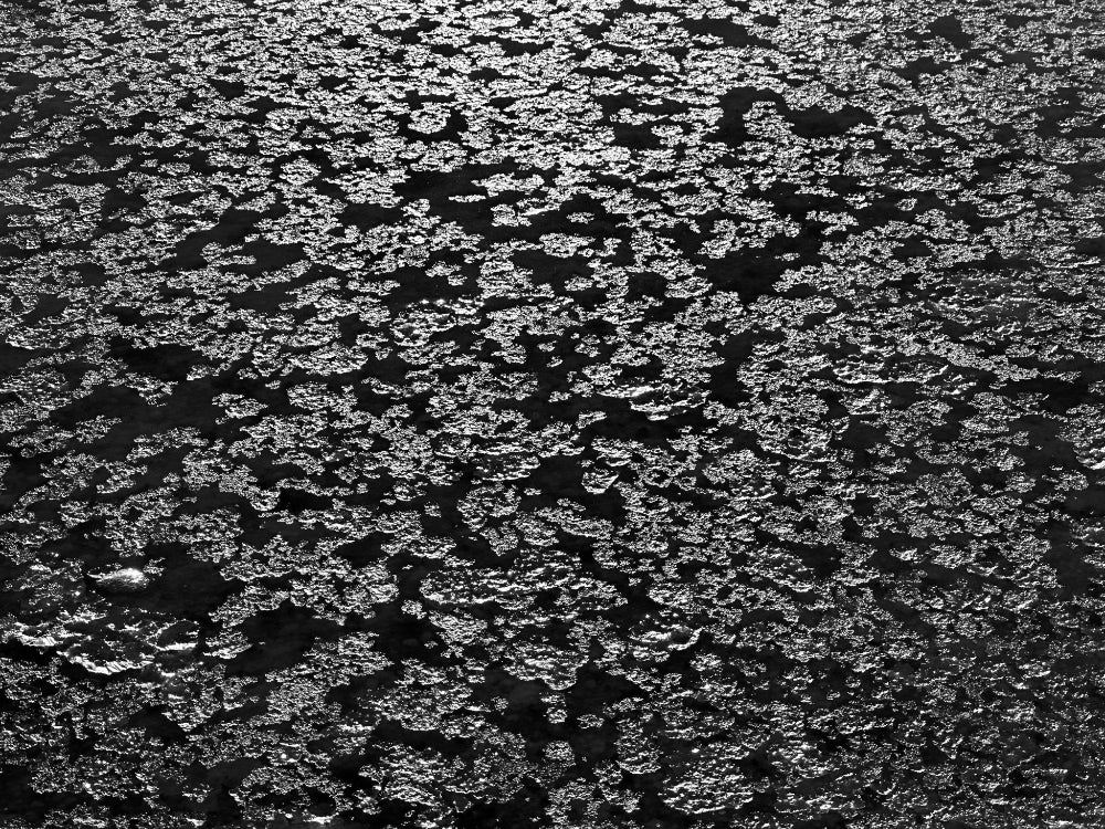 Water Lace - Gunderson Schulman Photography